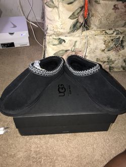 UGG TASMAN M / BLACK