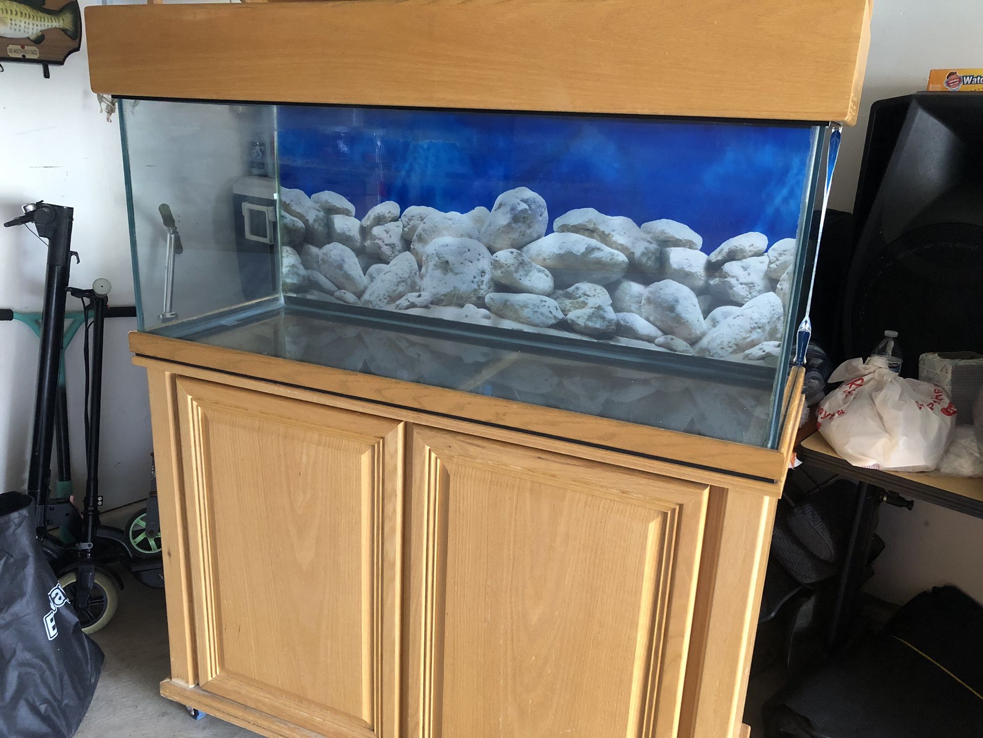 80  Galón Fish Tank 