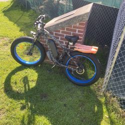 eleteic bike 