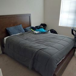 Queen Bed Frame + Box Spring (Like New From Living Spaces/