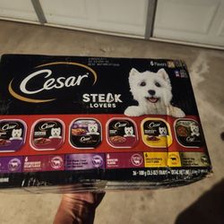 Dog Food