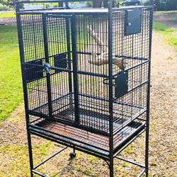 Big Bird Cage