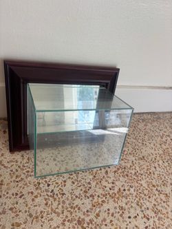 Football Mini Helmet Brown Display Case Wall Mounted