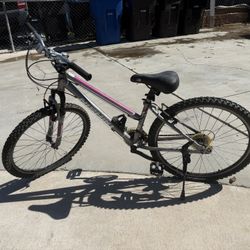 Nishiki Bike