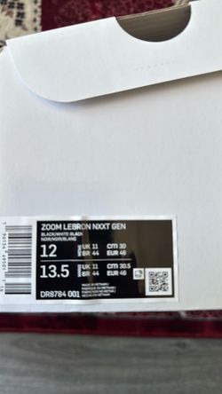 Zoom LeBron NXXT GEN size 12