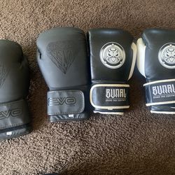 Boxing Gloves Adult 16 ounces