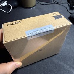 New Rabbit r1 Al Device