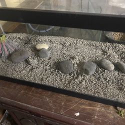 20 Gallon Long Aquarium Fish Tank With Glass Top And Sand And Rocks And Decorations 