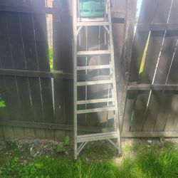 Werner 6ft Ladder