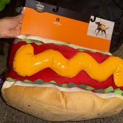 Halloween Accessories Jewelry And Dog Costume Available 