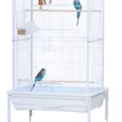 Bird Cage 