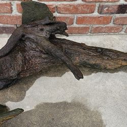 Driftwood