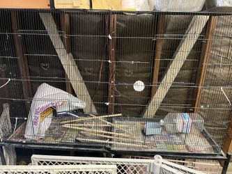 Bird Cage