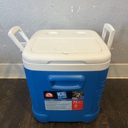 Igloo 48-Quart  Cooler