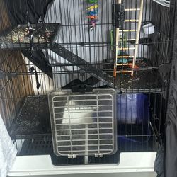 Big bird cage