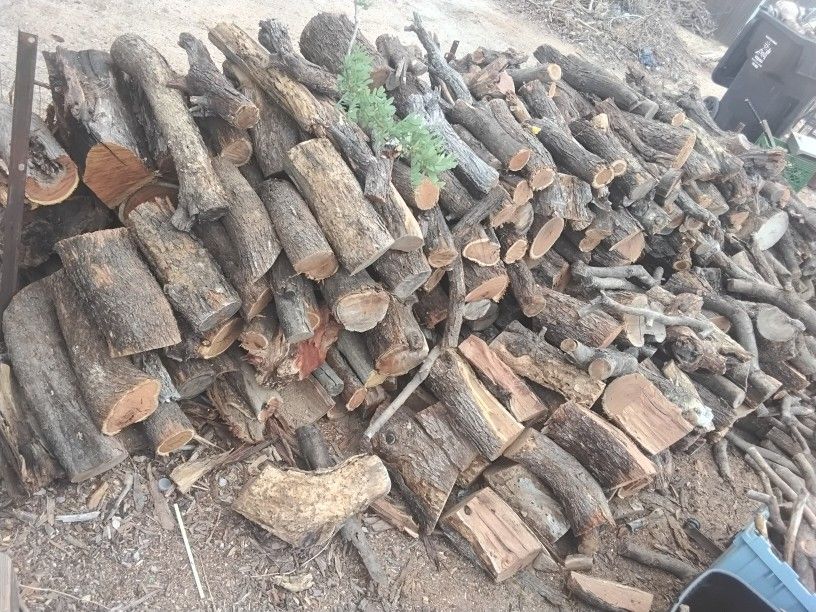 Firewood Gt It While You Can
