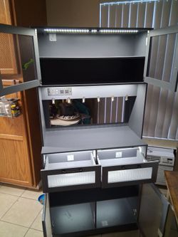 Kitchen  cabinet