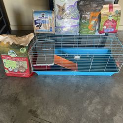 Guinea Pigs 