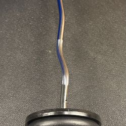 Standard Steel Curl Bar with Cast Iron Weight Plates pairs: 15#, 10 & 5 #. Total: 76 pounds