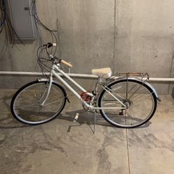Schwinn 24” Bike 