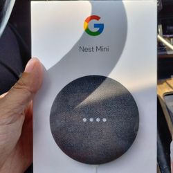 Google Nest Mini
