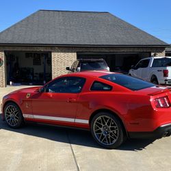 2011 Ford Shelby Gt500