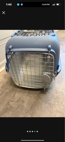 Dog  kennel  median