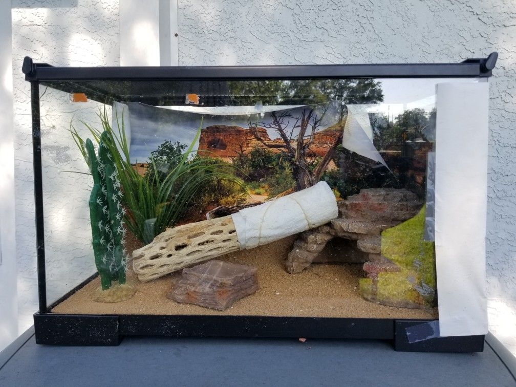 Reptile enclosure
