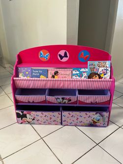 Book and toy organizer