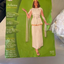 Athena Goddess of wisdom and war costume