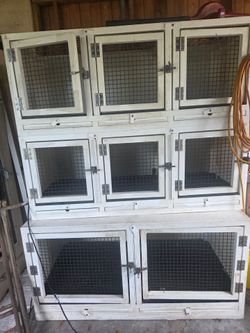 Adult  / puppy cages