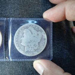 Morgan Dollar 