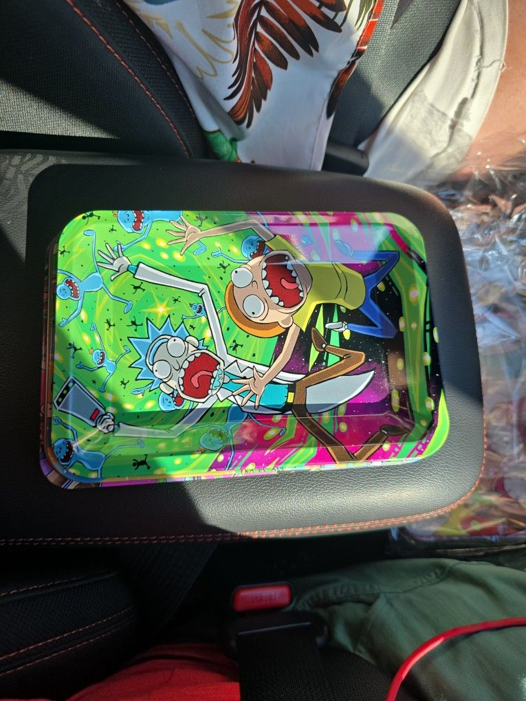 Rick and Morty Collectible Tray