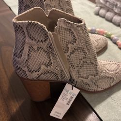Maurices dress shoes brand new