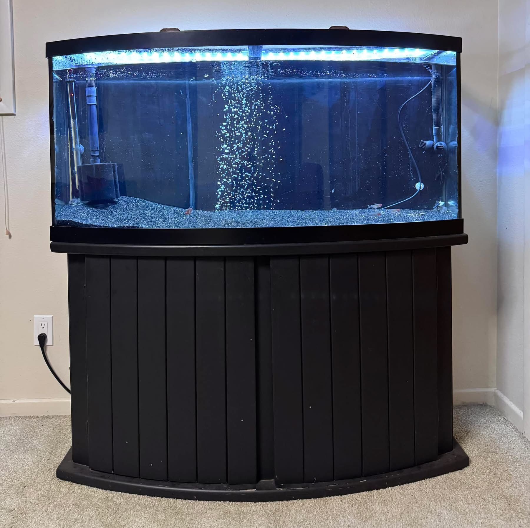 75 Gallon Bowfront Aquarium