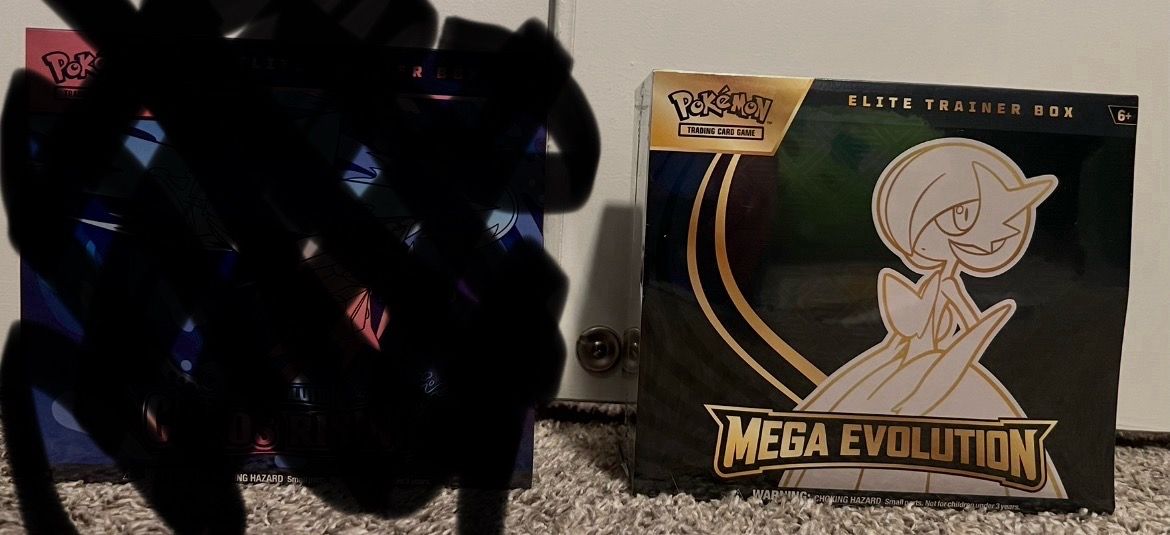 Mega Evolutions ETB