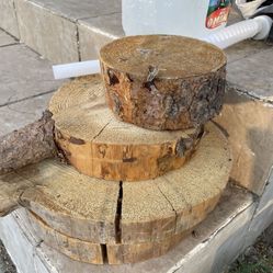 Wood Slices Log Slices 