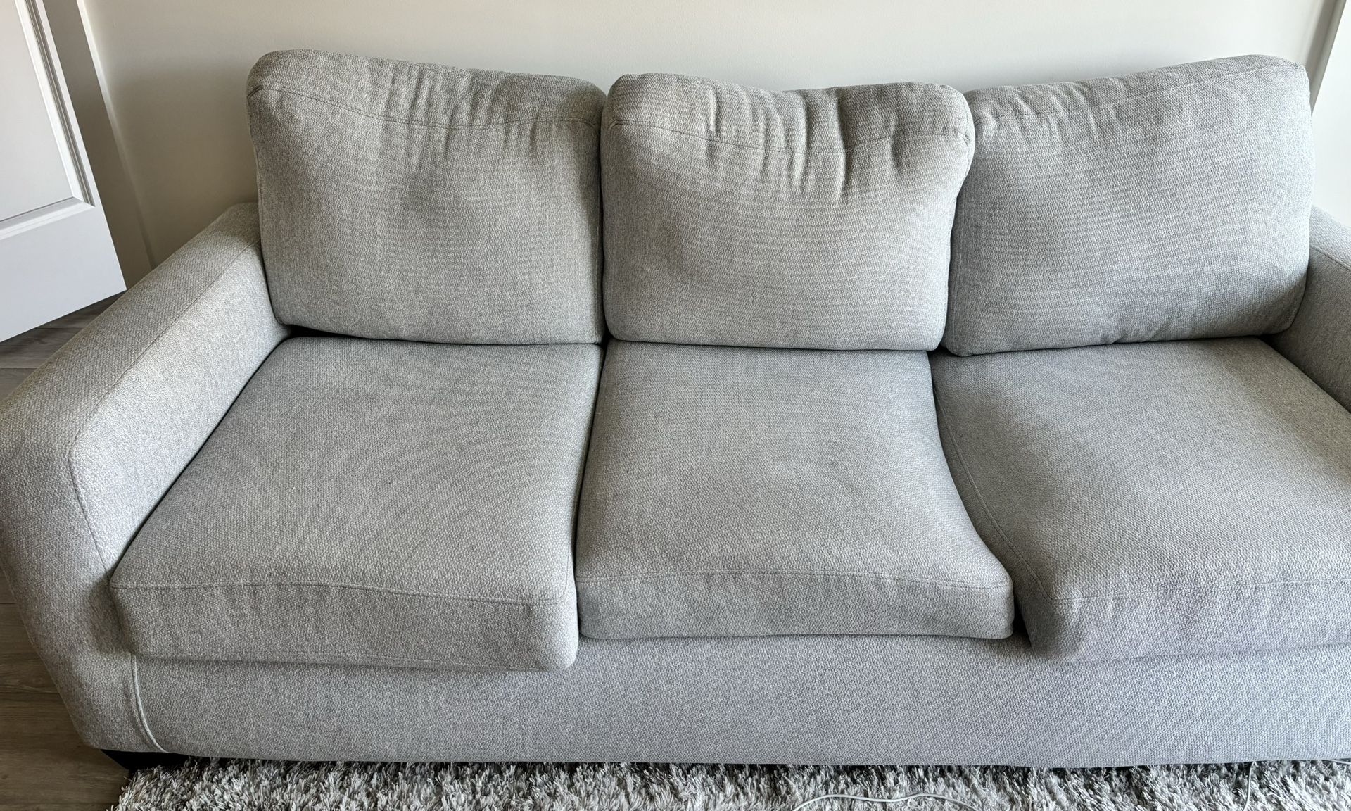 Light Grey Couch