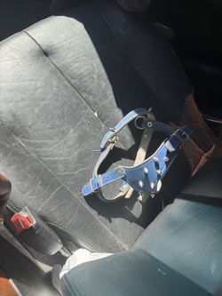 Small Dog Harness