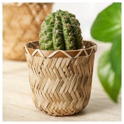 Plant pot