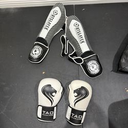 free fight gloves and shin guards