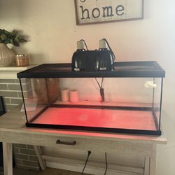 Terranium With Heat Lamp/UV