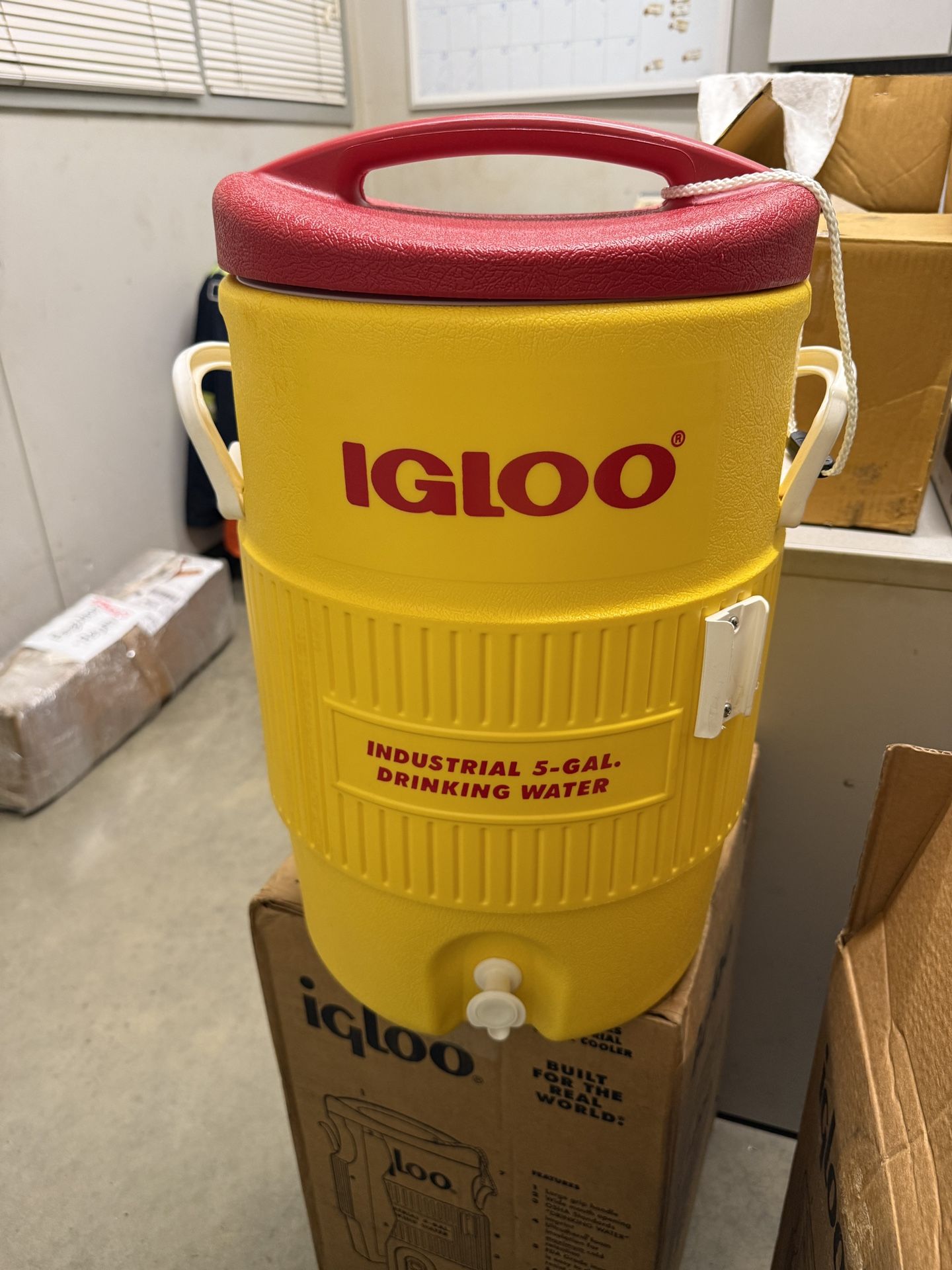 (2) Igloo 400 Series 10 Gallon Cooler Brand New