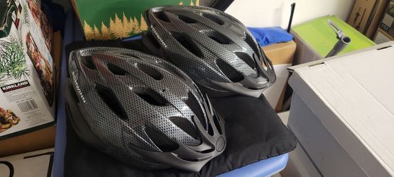 Two (2) Schwinn Bicycle Helmets