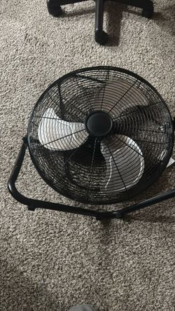Fan
