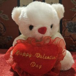 VALENTINES  DAY WHITE TEDDY BEAR PLUSH W/RED HEART PLUSH 