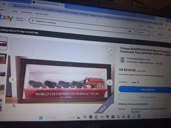 Budweiser World Champion Clydesdale Team Light-Up Sign Cash only.