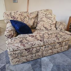 Very Nice Sleeper Love Seat