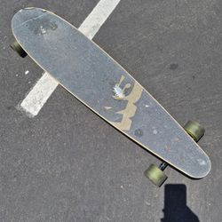 Never summer industries longborad