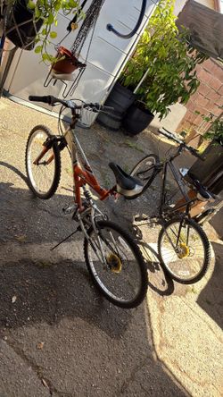 $40 bikes each